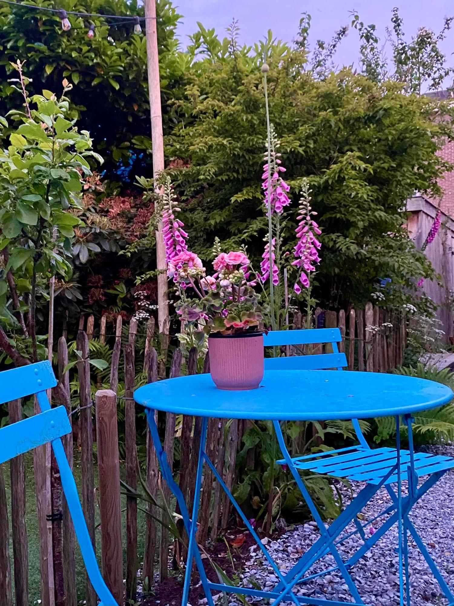 In De Aap - Appartementen & Guesthouse Bergen Ngoại thất bức ảnh